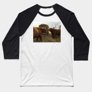 Scottish Highland Cattle Bulls 2341 Baseball T-Shirt